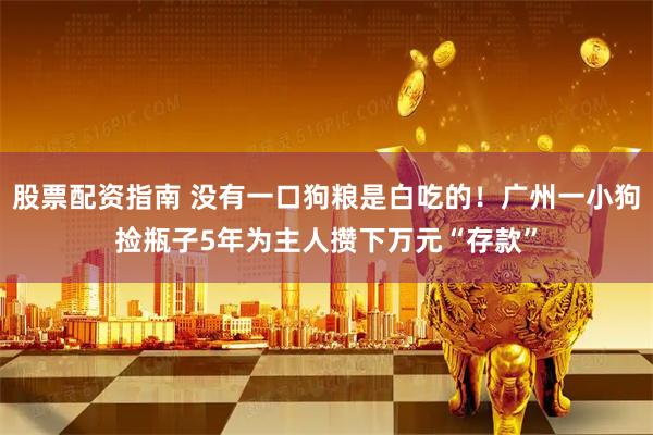 股票配资指南 没有一口狗粮是白吃的！广州一小狗捡瓶子5年为主人攒下万元“存款”