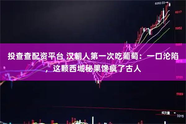 投查查配资平台 汉朝人第一次吃葡萄：一口沦陷，这颗西域秘果馋疯了古人